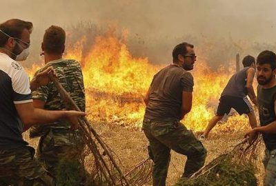 Ormanı yakmaya çalışırken yakalandı