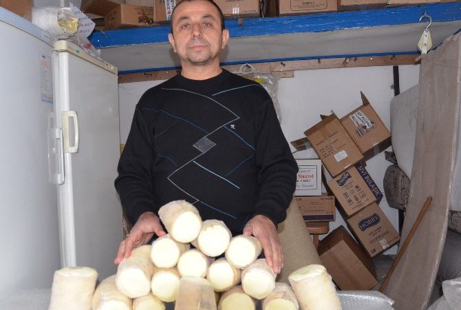Çorum’un Kargı ilçesine özgü koyun ve keçi sütünden üretilen doğal