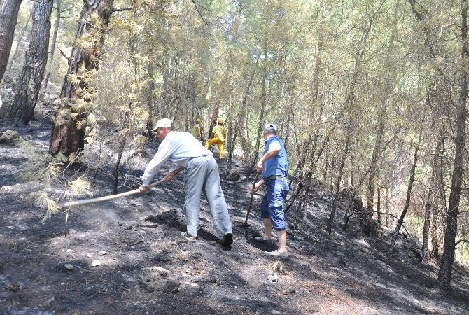 Muğla’nın Ortaca ilçesinde çıkan orman yangınında, yaklaşık bir hektar alan