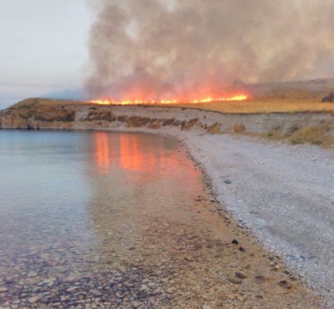 Van Gölü’ndeki Çarpanak Adası’nda akşam saatlerinde çıkan yangına İl Afet