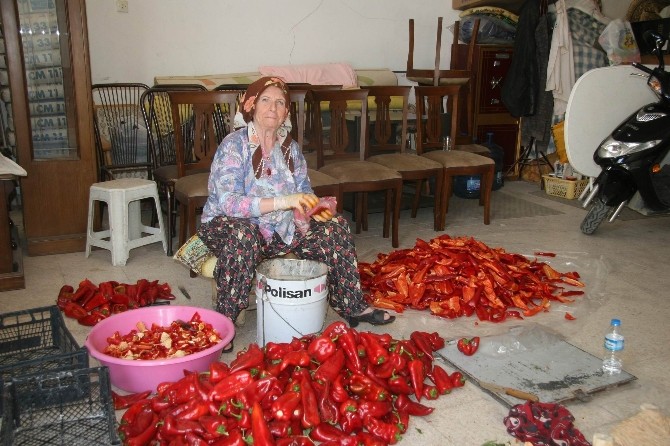 Biber Salçası Yapma Geleneği Sürüyor
