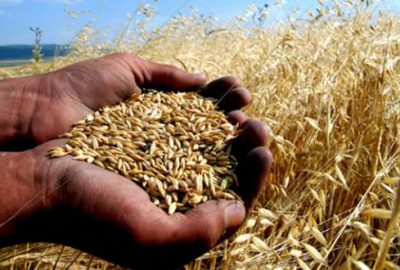 Çiftçide enflasyon yüzde 5’lere indi