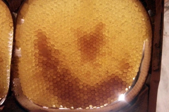 Şiran’da Arılar Bal Çerçevesine Ay Yıldız İşledi