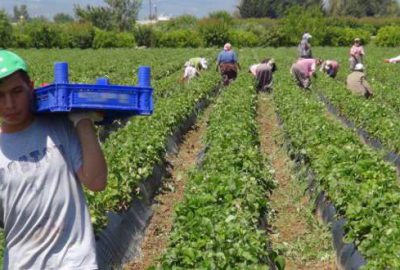 ‘Tarımdaki istihdam işsizliği azalttı’