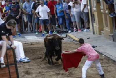 Boğanın intikamı: 7 ölü