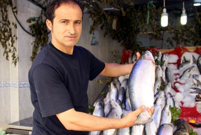 Samsunlu balıkçılar bu sene palamut balığının çok olacağını umut ediyorlar.