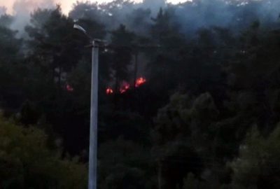 Muğla’da Orman Yangını