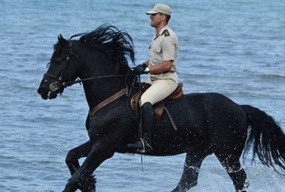 Süvari atları Bursa’da yetiştiriliyor