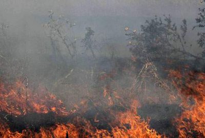 Gölyazı’da yangın: 30 dönümlük alan kül oldu