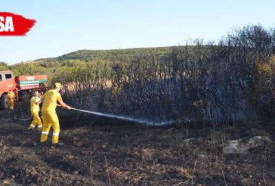 Orman yangınları korkuttu