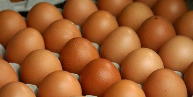 Yumurtanın fiyatı uçtu!