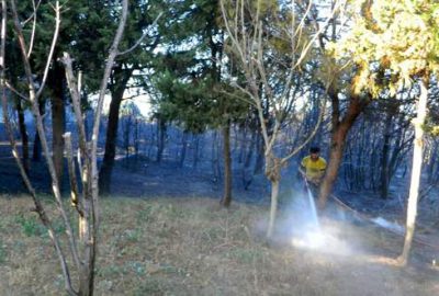 Mudanya’da orman yangını