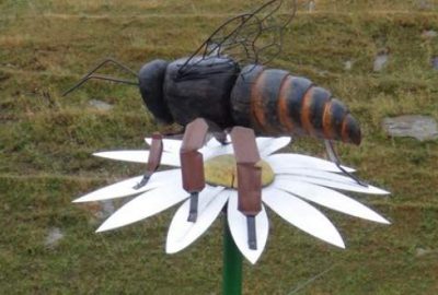 Arı heykeli 5 kilo bal verdi