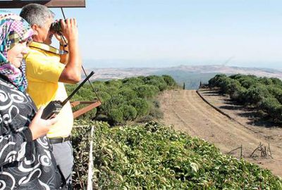 24 saat boyunca gözetliyorlar