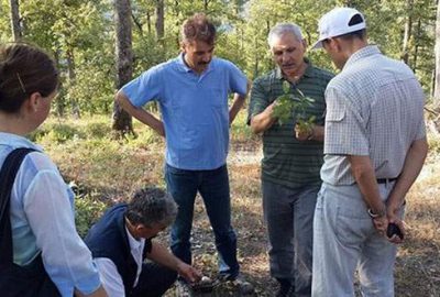 Bursa’nın ormanları gençleştiriliyor