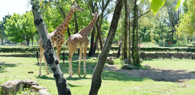 Bursa Hayvanat Bahçesi genişliyor