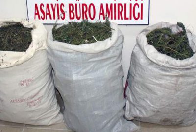 Bursa’da uyuşturucu tacirlerine bir darbe daha!