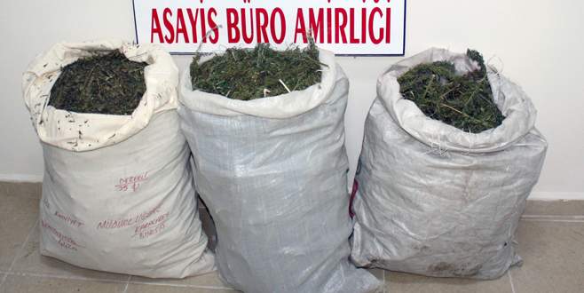 Bursa’da uyuşturucu tacirlerine bir darbe daha!