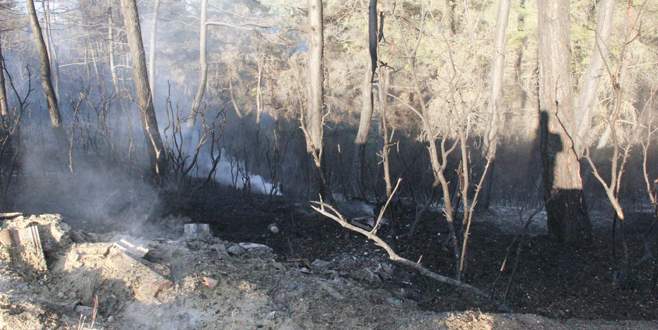 Bursa’daki orman yangını söndürüldü!