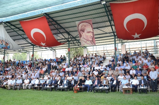 62. Zengibar Karakucak Güreş Ve Kültür Festivali Yapıldı
