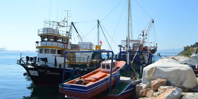 Balıkçılar yeni sezondan umutlu
