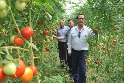 Seradan ekonomiye 630 bin TL katkı