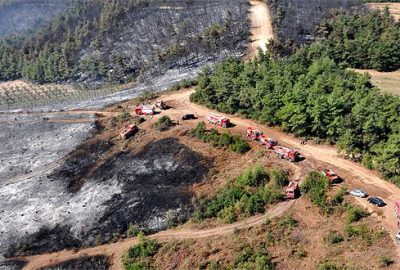 Bölge 2016 Nisan’a kadar ağaçlandırılacak