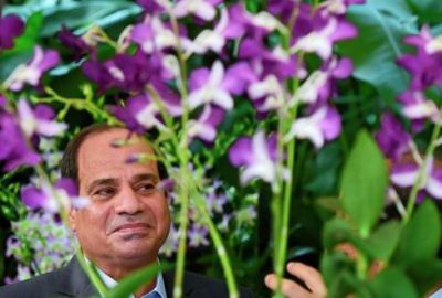 El Sisi orkidesi