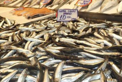 Tezgahlar hamsi ile doldu