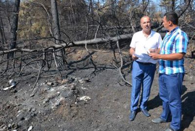 Betonlaşmaya asla izin verilmeyecek