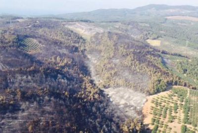 Müezzinoğlu: Bu işin siyaseti olmaz