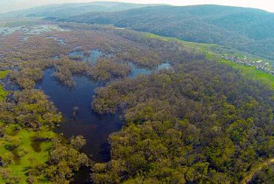 Marmara’nın saklı güzelliği Karacabey Longozu