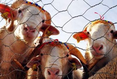 Bayram tatili kaç gün olacak?