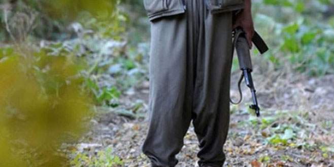 7 terörist teslim oldu