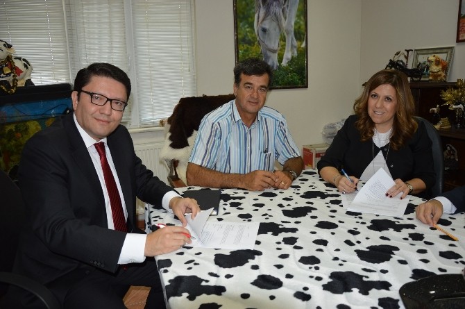 Damızlık Birliği Üyelerine Avantajlı Kredi