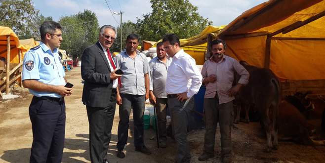Hayvan pazarında denetim