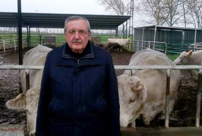 Karacabey’de kurbanlık fiyatları belirlendi