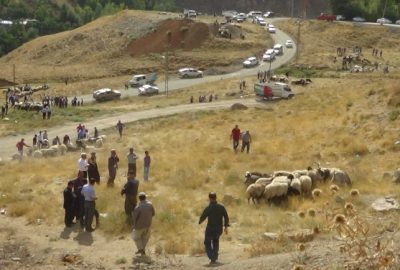 Bölgedeki Çatışmalar Kurban Satışlarını Etkiledi