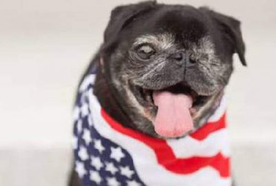 ABD başkanlığına ‘sürpriz’ aday