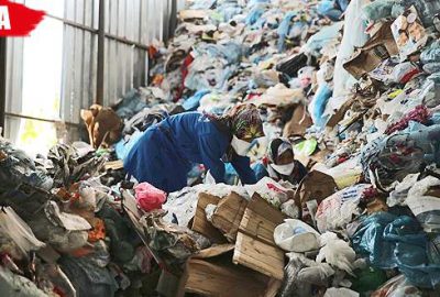 Yüzbinlerce ağaç kurtarıldı