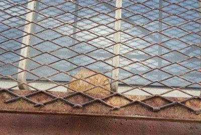 Öğrenciler fark etmeseydi, facia yaşanacaktı!