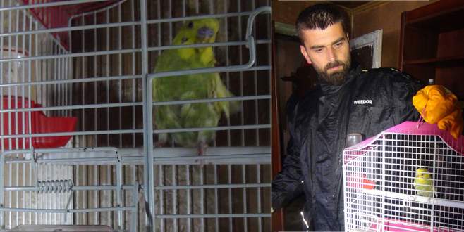 Çöp evi temizlemeye gittiklerinde bakın neyle karşılaştılar