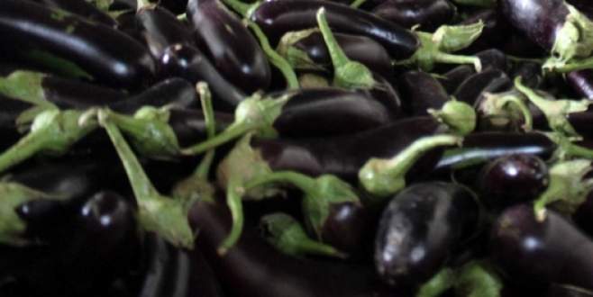 Eylül’de zam şampiyonu patlıcan