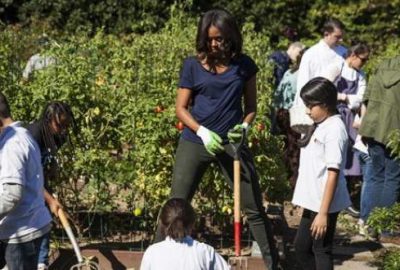 Beyaz Saray’da hasat zamanı
