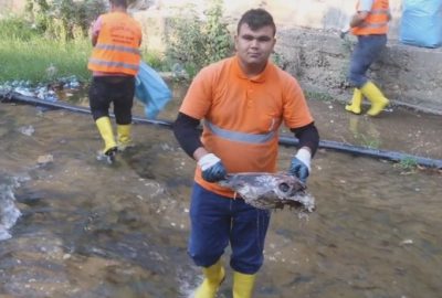 Efeler’deki Derenin Temizliğinde Kelle Bulundu