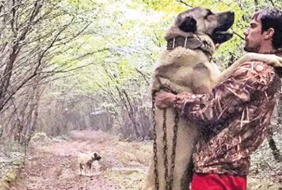 Çelikkol’un dev köpeği