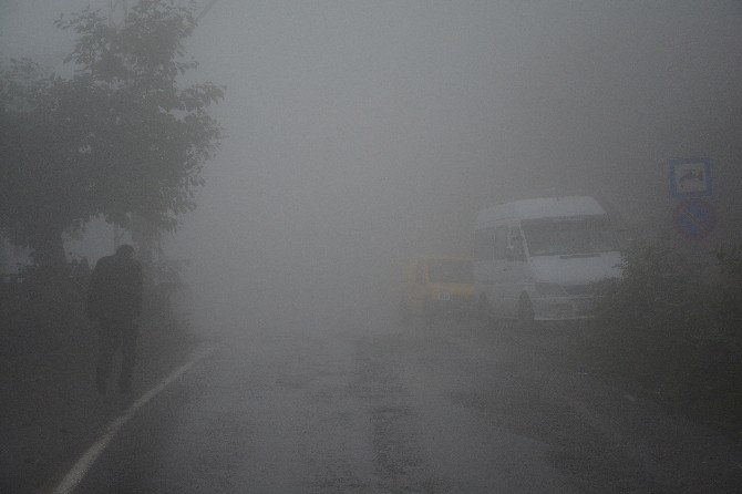 Kabadüz’de Yoğun Sis Hayatı Olumsuz Etkiliyor