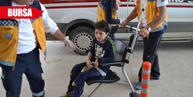 Kedinin peşinden koşarken canından oluyordu!