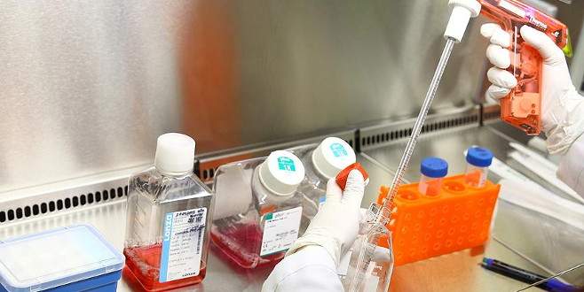 Türk Genom Projesi çığır açacak