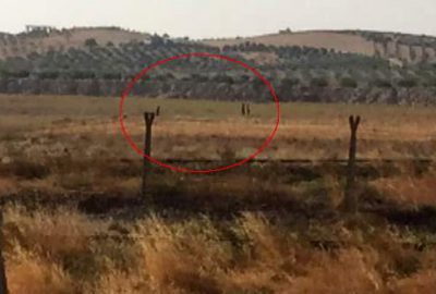 IŞİD, sınır hattına mayın döşedi